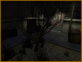 Thumbnail for version as of 13:41, 13 October 2026