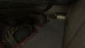 Survivor Spawn