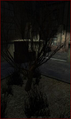 Thumbnail for version as of 13:39, 13 October 2026